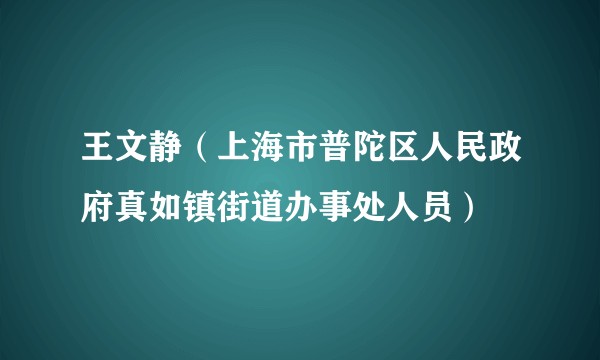 王文静（上海市普陀区人民政府真如镇街道办事处人员）