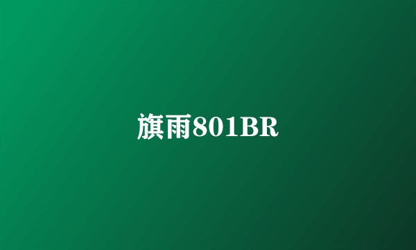 旗雨801BR