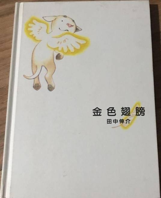 金色翅膀（2005年格林出版社出版的图书）