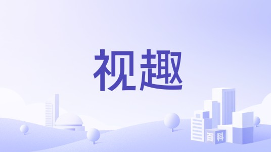 视趣