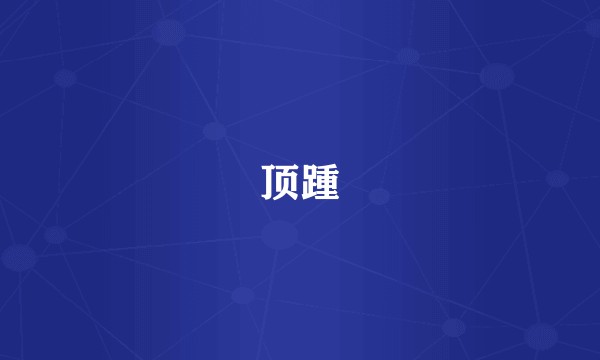 顶踵
