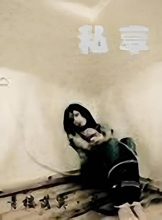 私享'