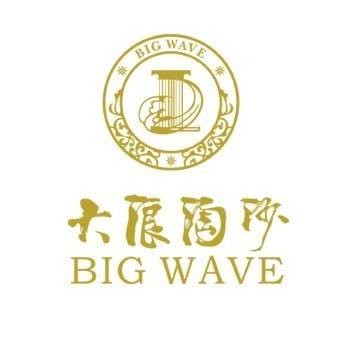 广东大浪淘沙酒店有限公司