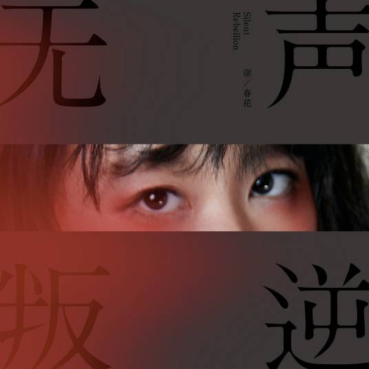 你是（2019年谢春花演唱歌曲）