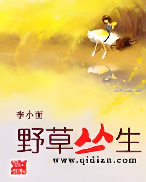 野草丛生（李小面创作的网络小说）