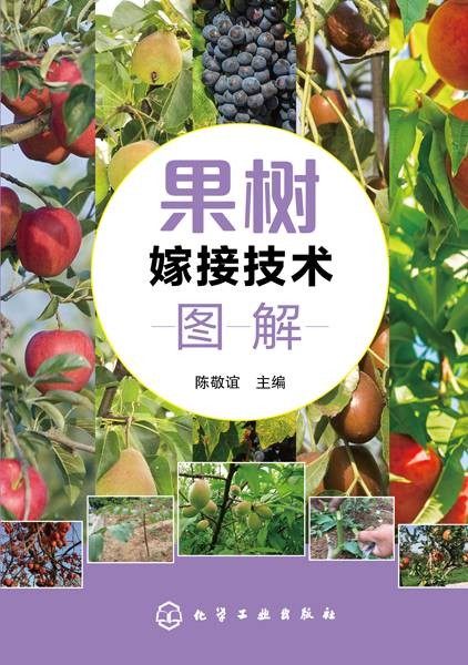 果树嫁接技术图解（2019年化学工业出版社出版的图书）