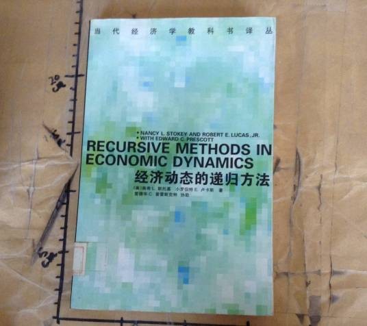 经济动态的递归方法（1999年中国社会科学出版社出版的图书）