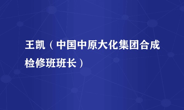王凯（中国中原大化集团合成检修班班长）