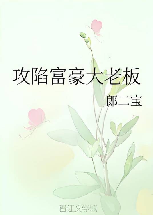 攻陷富豪大老板