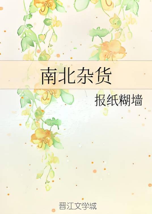 南北杂货