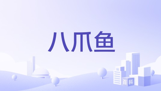 八爪鱼（软件和信息技术服务公司）