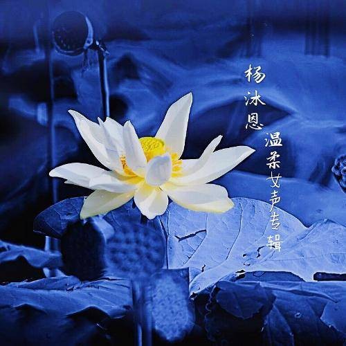如果有一天（李姝涵演唱的歌曲）