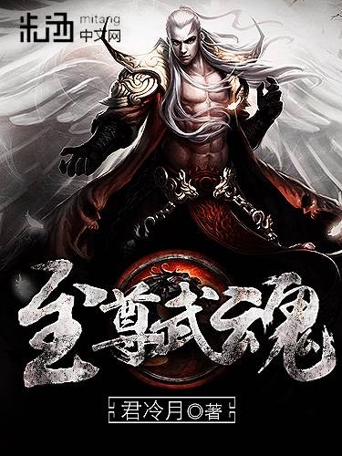 至尊武魂（君冷月玄幻巨制小说）