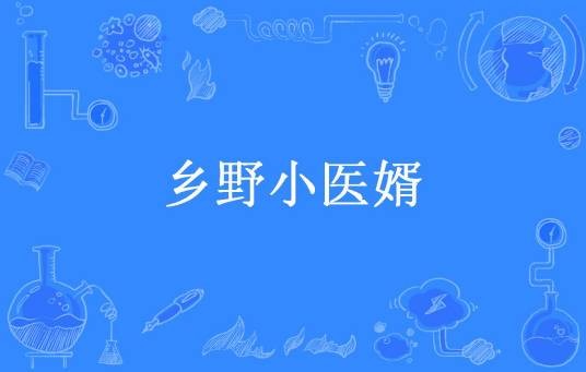 乡野小医婿