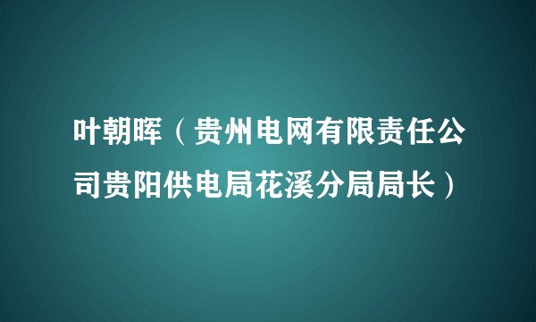 叶朝晖（贵州电网有限责任公司贵阳供电局花溪分局局长）
