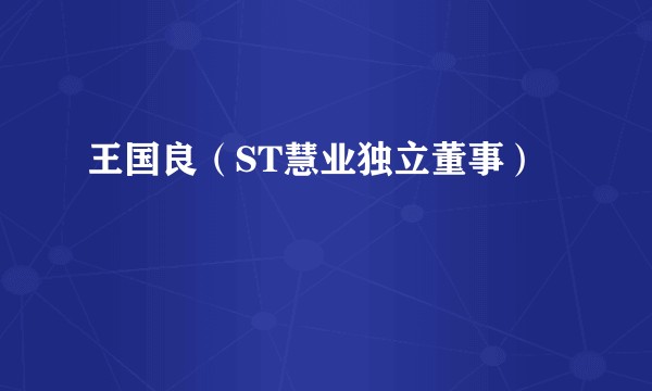 王国良（ST慧业独立董事）