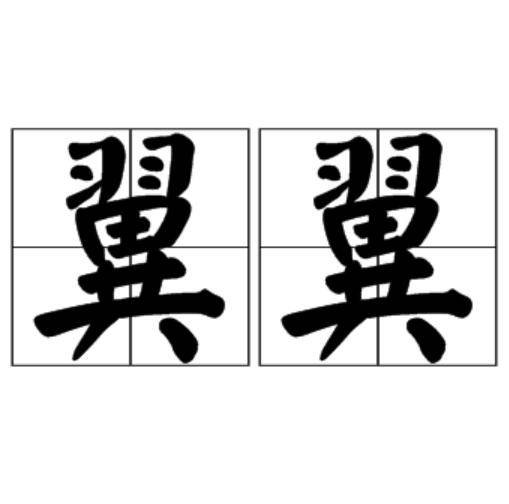 翼翼