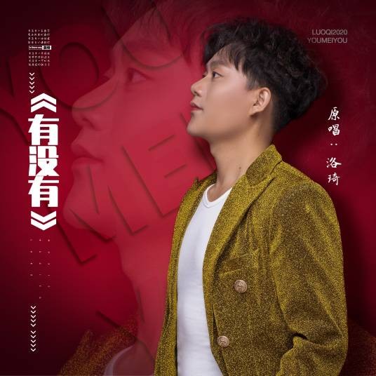 有没有（洛琦演唱歌曲）
