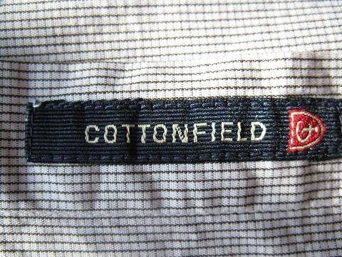 cottonfield