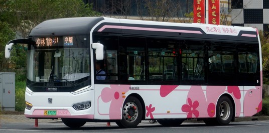 上海公交亭林1路