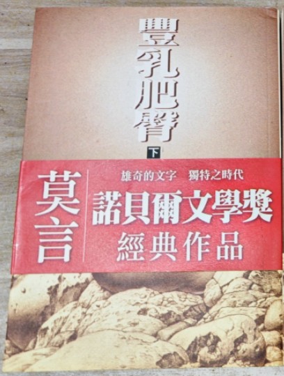丰乳肥臀（下册）