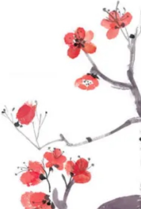香蜜沉沉之绾绾凤心