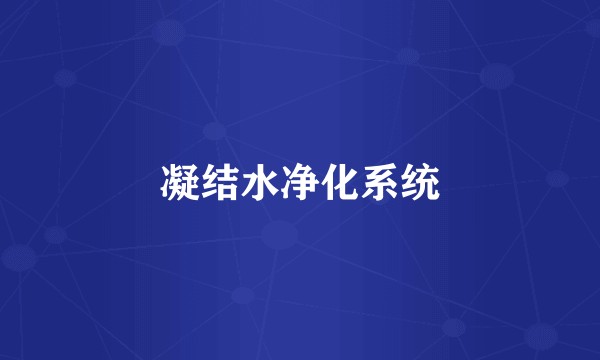 凝结水净化系统