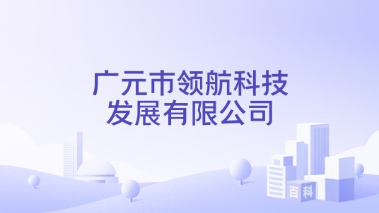 广元市领航科技发展有限公司
