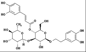 毛蕊花糖苷