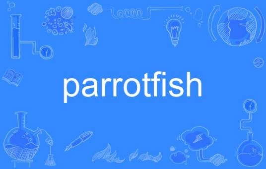 parrotfish