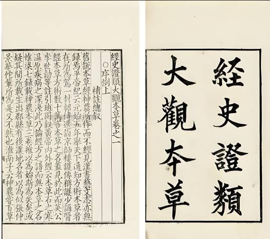 经史证类备急本草