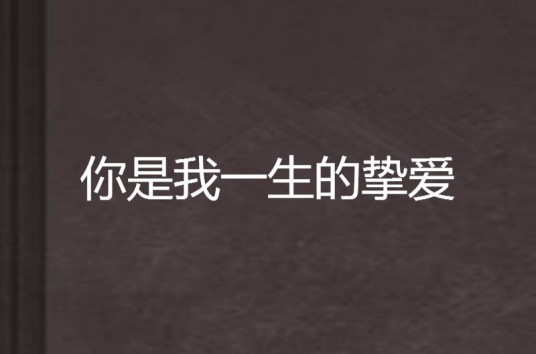 你是我一生的挚爱