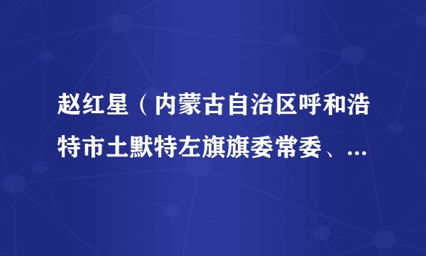 赵红星（内蒙古自治区呼和浩特市土默特左旗旗委常委、副旗长）