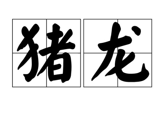 猪龙