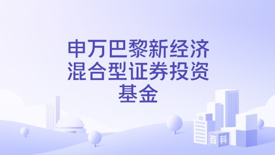 申万巴黎新经济混合型证券投资基金