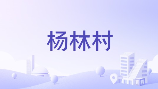 杨林村（福建省莆田市秀屿区笏石镇下辖村）