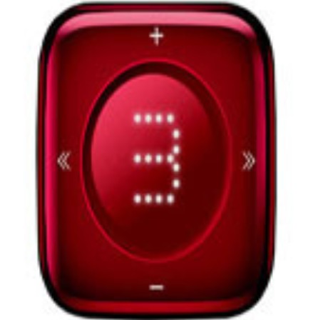 纽曼B35(1GB)