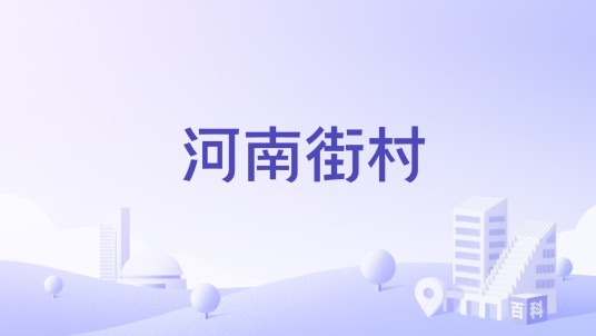 河南街村（河南省社旗县下辖村）
