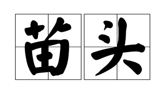 苗头