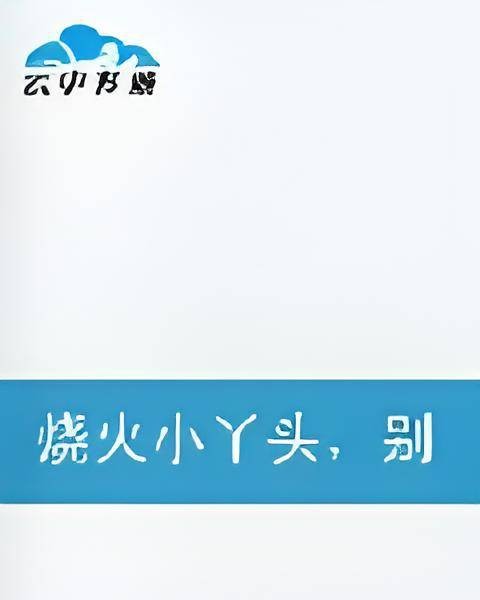 烧火小丫头，别跑
