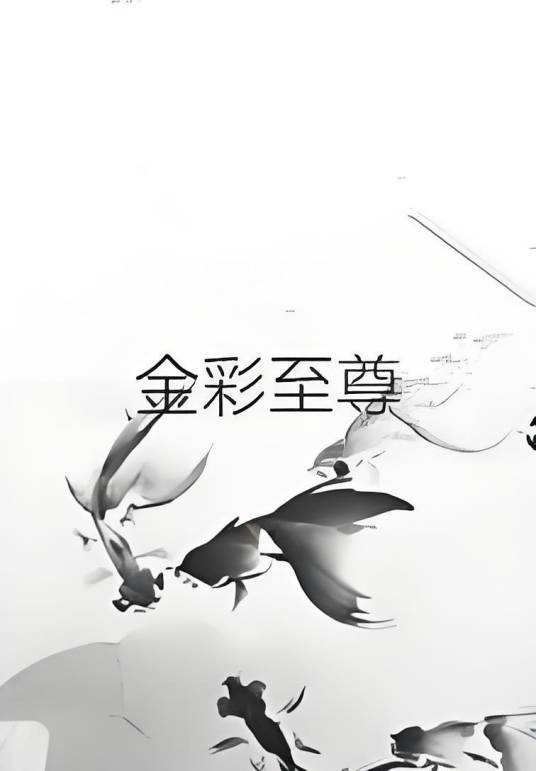 金彩至尊