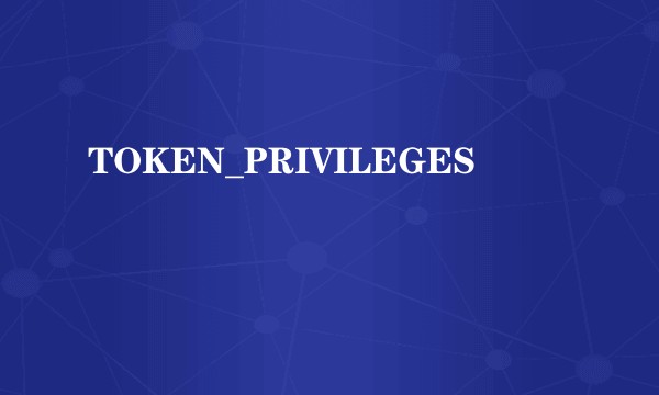TOKEN_PRIVILEGES
