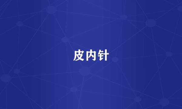 皮内针