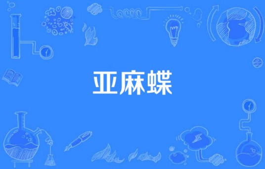 亚麻蝶