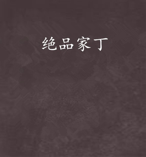 绝品家丁（黑夜de紫铜创作的网络小说）