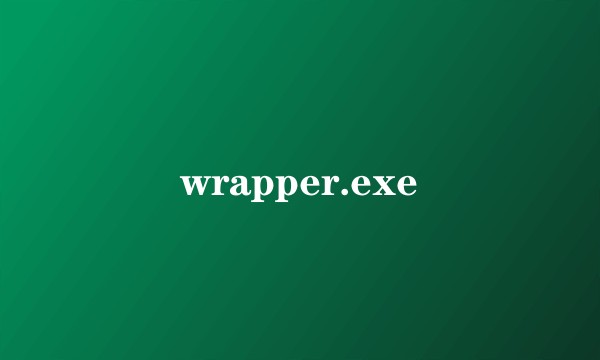 wrapper.exe
