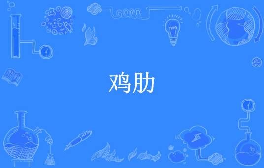 鸡肋（宋代赵崇绚编撰的笔记）