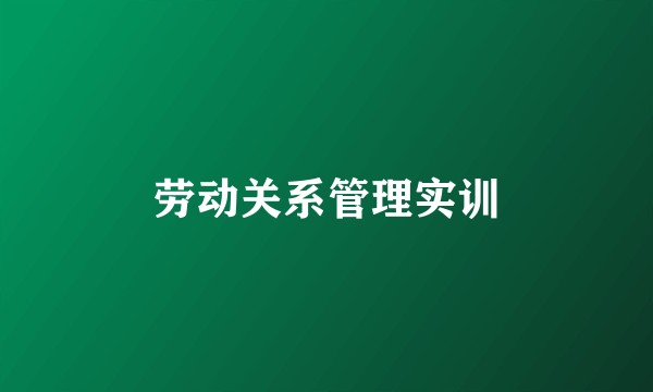劳动关系管理实训