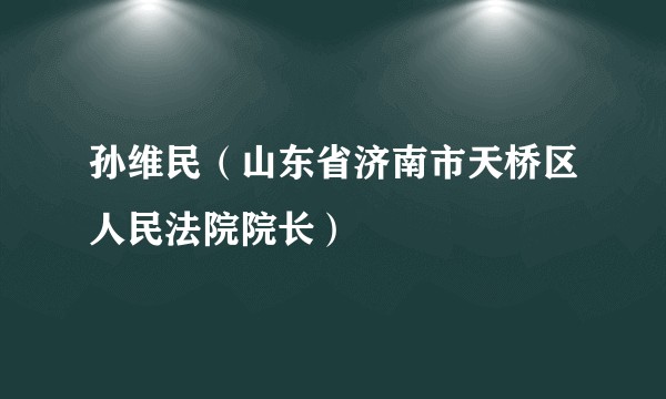 孙维民（山东省济南市天桥区人民法院院长）