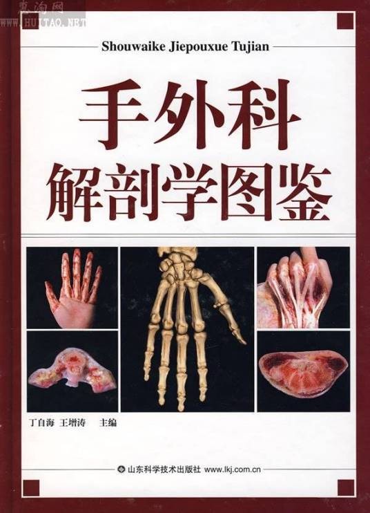 手外科学
